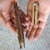 Razor clam